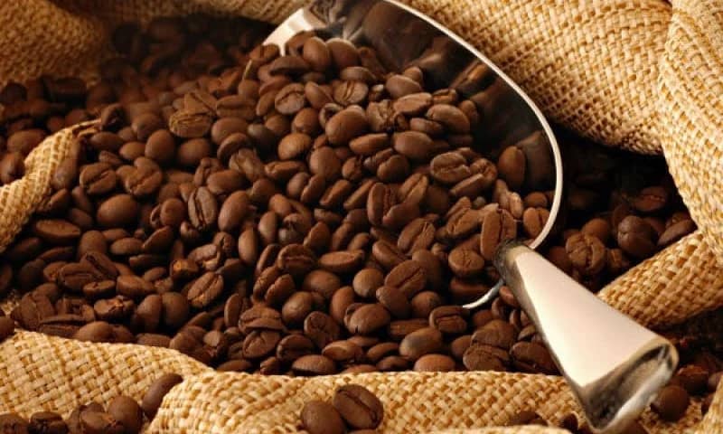 Économie/Cacao : le Cameroun désormais important producteur du cacao fin.