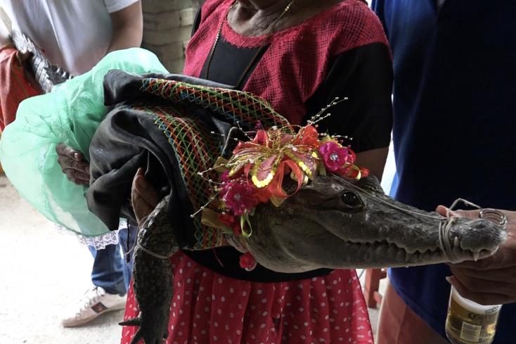 MONDE/MEXIQUE : Un maire épouse une femelle Caïman lors d'un rituel ancestral.