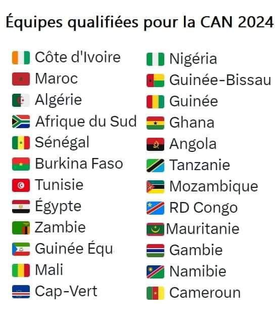 Sport/ CAN 2023 : le Cameroun et la Namibie rejoignent les 22 pays déjà qualifiés pour la Côte d’Ivoire en janvier prochain.