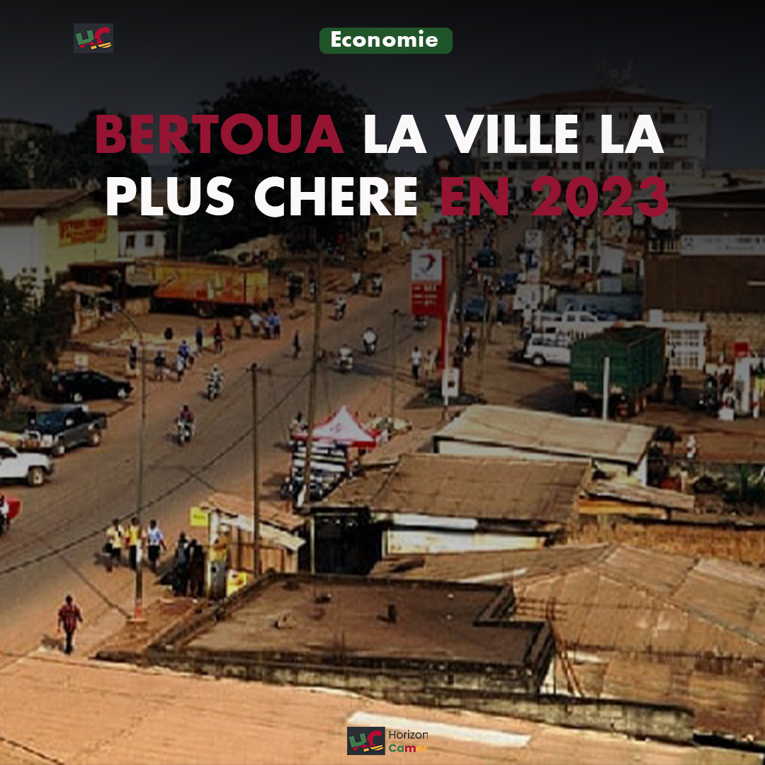 Économie : Bertoua est  ville la plus chère en 2023 au Cameroun selon  L’INS