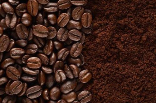 AGRICULTURE/  Cacao-Café : Le Japon s'engage à financer la compétitivité du cacao et du café au Cameroun