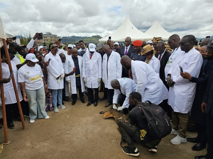 Journée mondiale contre la rage : le Cameroun en première ligne pour l’éradication