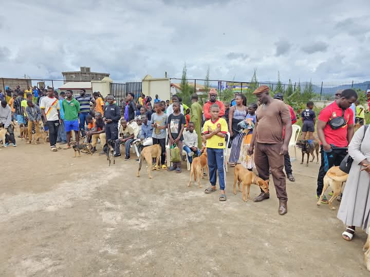 Journée mondiale contre la rage : le Cameroun en première ligne pour l’éradication