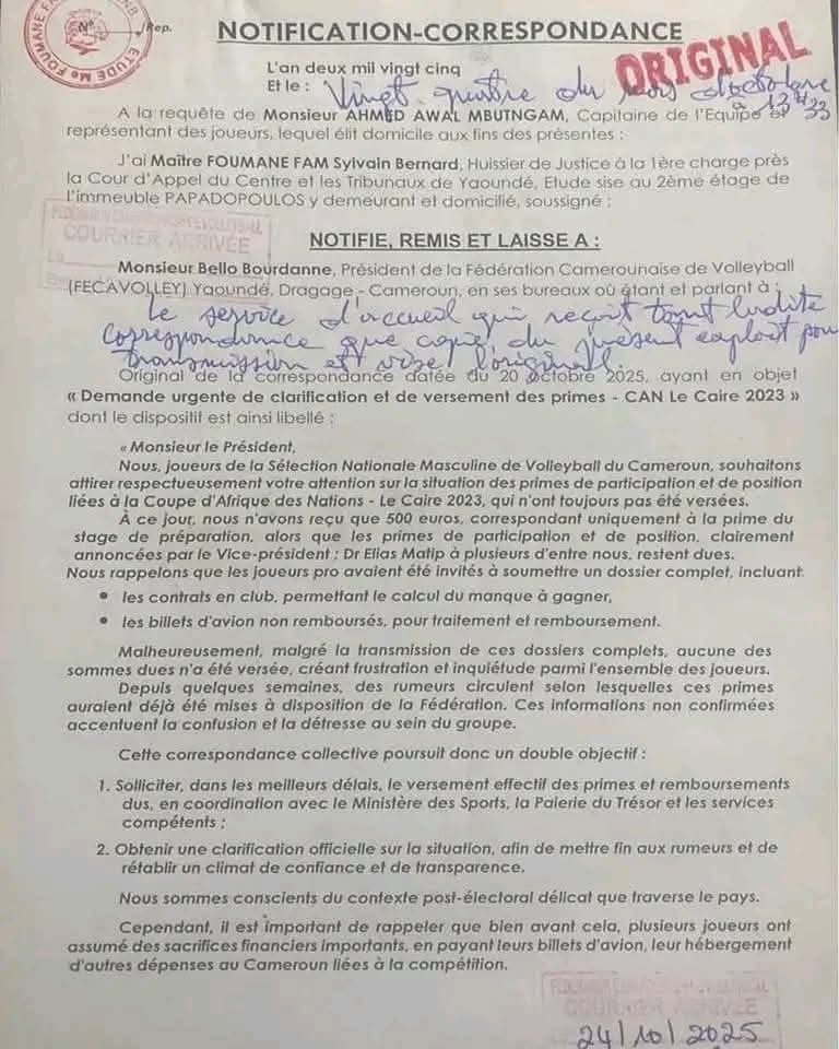 Sport / Volley-ball : crise institutionnelle, les athlètes en paient le prix